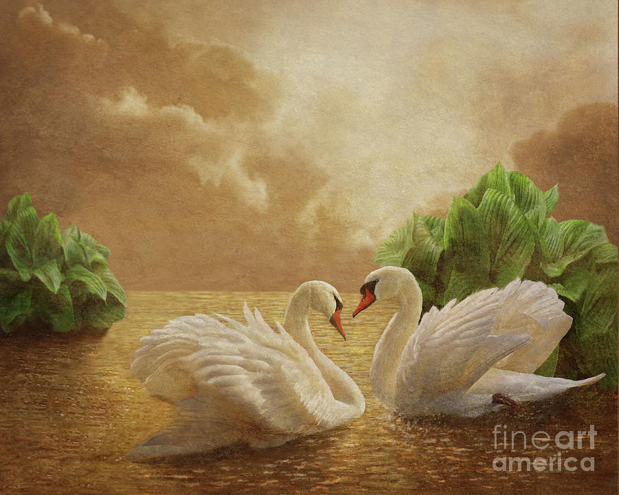 Swan Lake Digital Art by Melinda Hughes-Berland