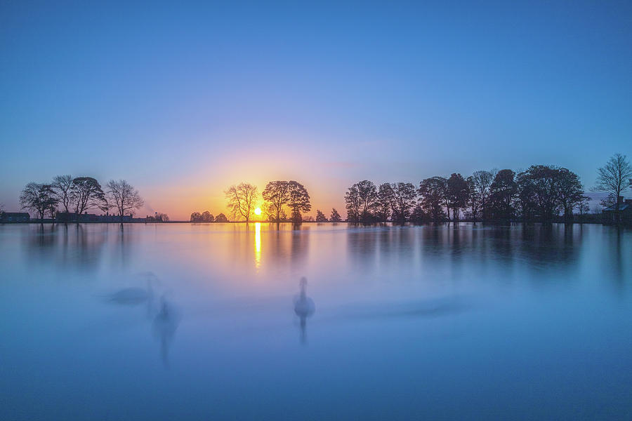 Swan Lake Sunrise  Photograph by Chris Smith