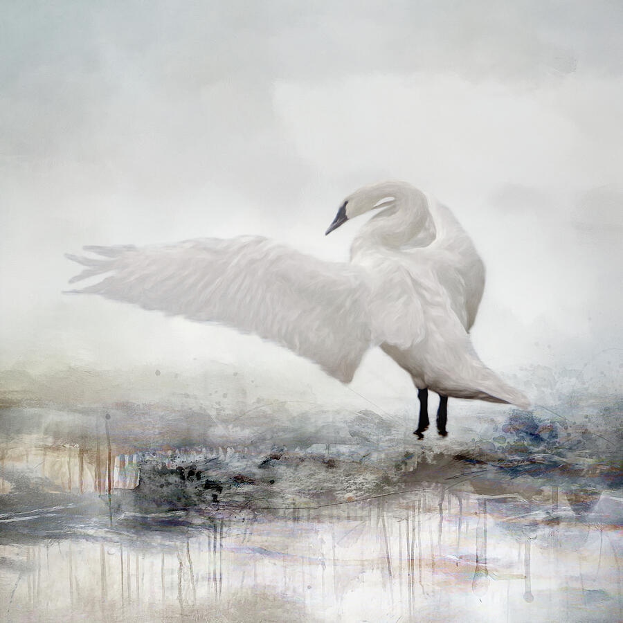 White Swan Digital Art by Marilyn Wilson