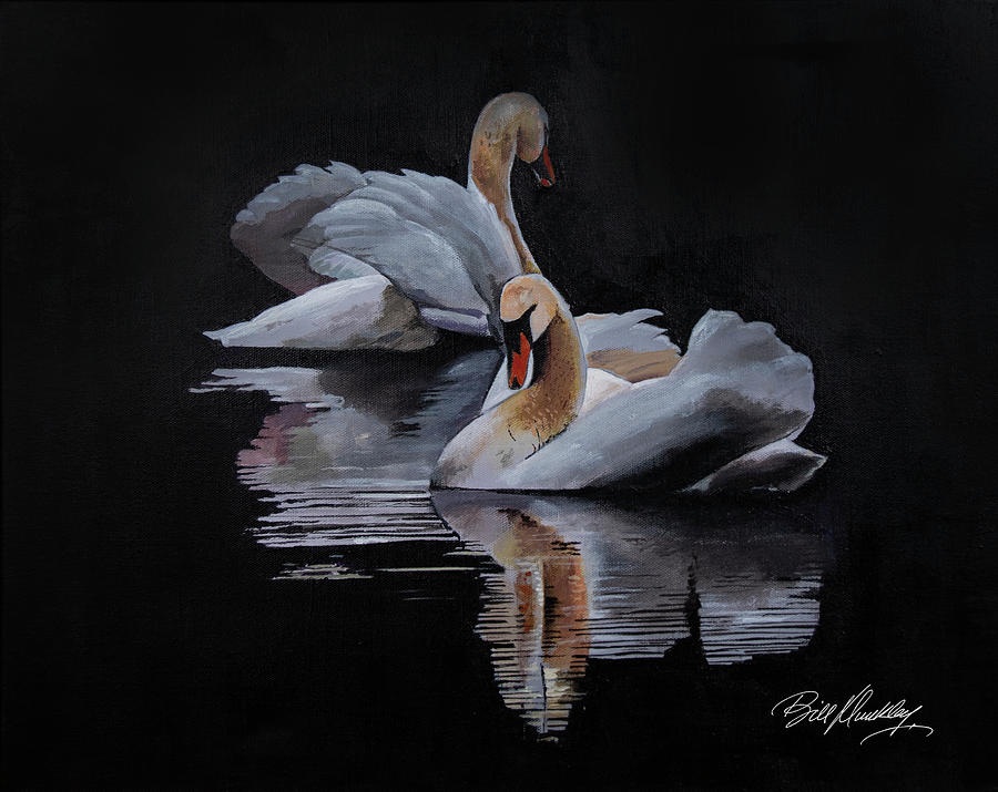 Swan Reflections Painting by Bill Dunkley