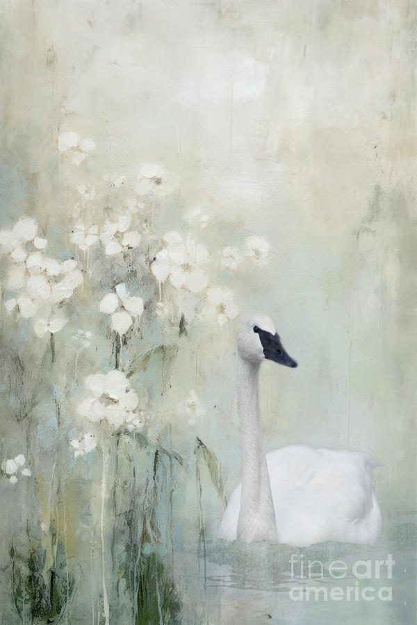 Swan series B, no. 1 Digital Art by Marilyn Wilson