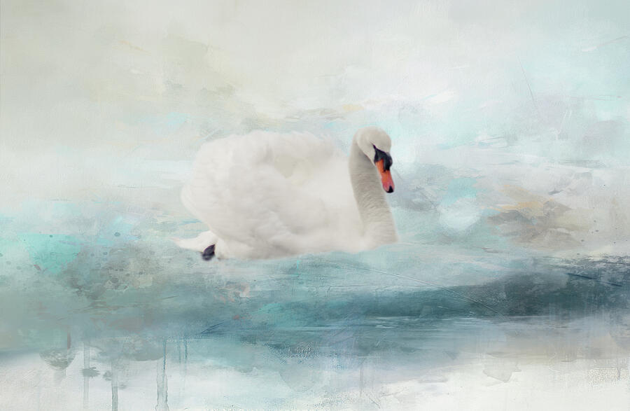 Swan Photograph - Swan series C, no. 1 by Marilyn Wilson