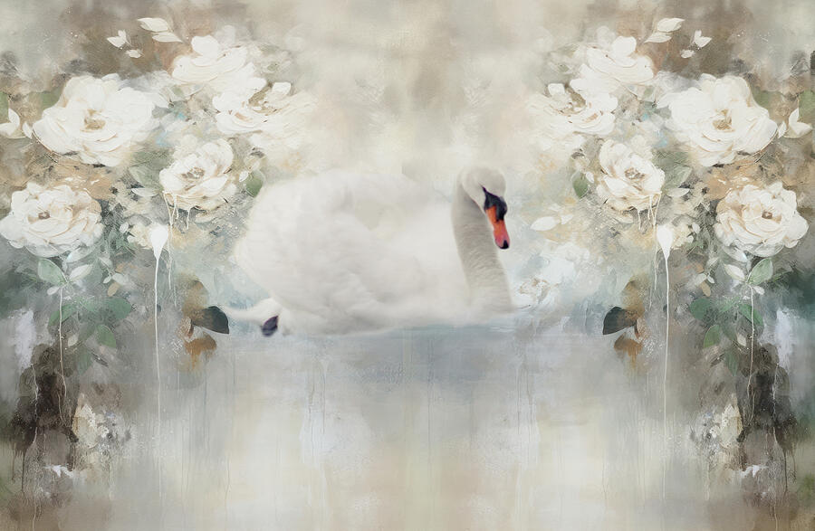 Swan Photograph - Swan series C, no. 2 by Marilyn Wilson