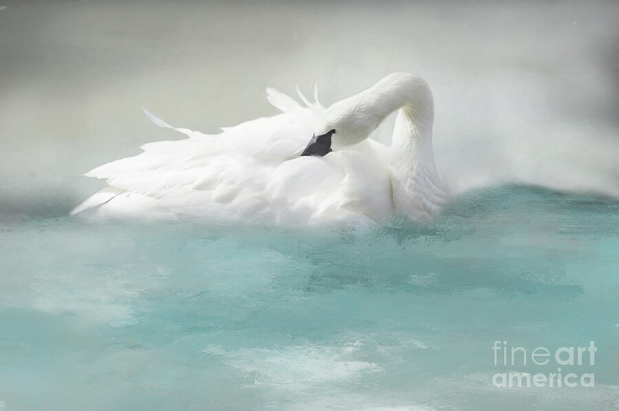 Swan Digital Art - Swan series D, no. 1 by Marilyn Wilson