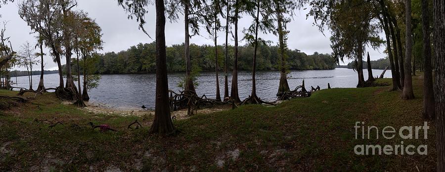Suwannee River At Camp Anderson Photograph