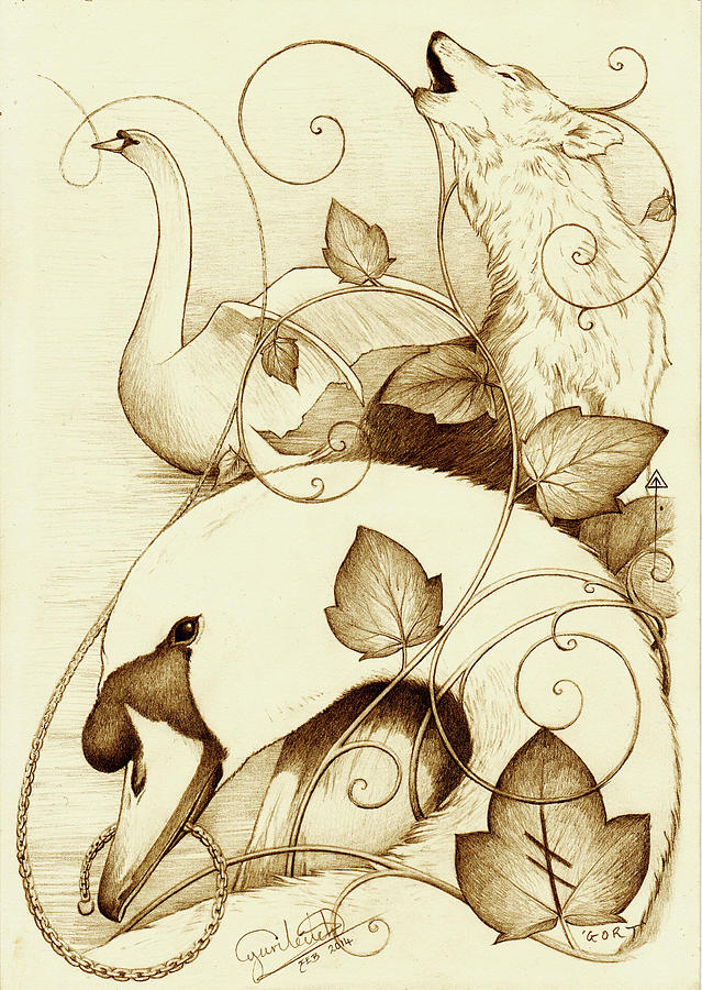 Swans and Wolf Drawing by Yuri Leitch