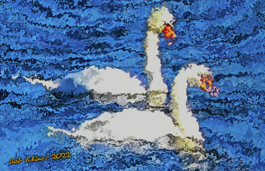 Swans Digital Art by Bob Shimer