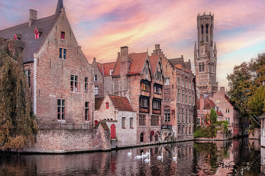 Swans Glide Gracefully in Bruges Canals Photograph by Steven Dos Remedios Swans Glide Gracefully in Bruges Canals Photograph by Steven Dos Remedios