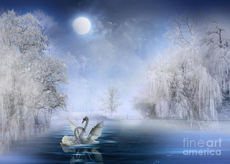Tree Digital Art - Swans in Moonlight by Morag Bates
