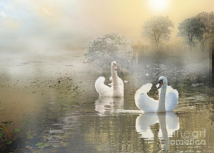 Swans in the Mist Mixed Media by Morag Bates