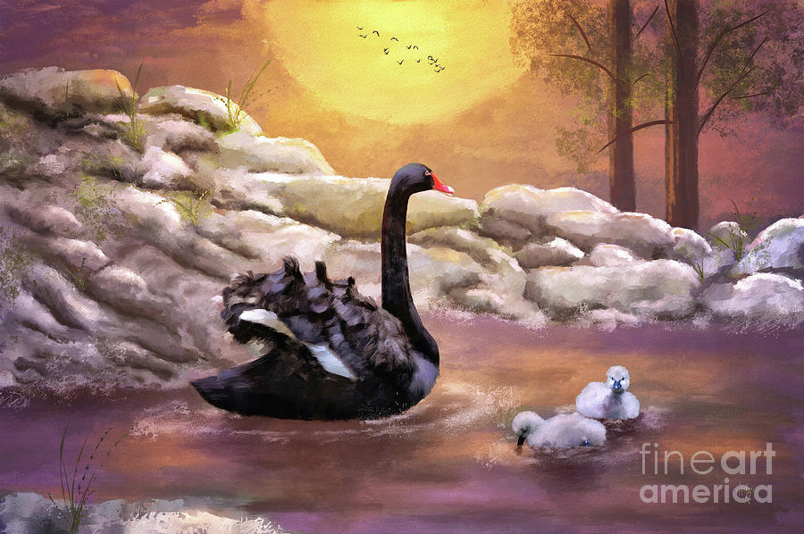 Swans Swimming At Sunset Digital Art by Lois Bryan