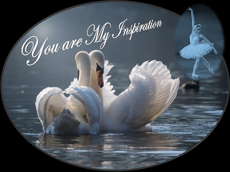 Swans You Are My Inspiration Photograph by Nancy Ayanna Wyatt
