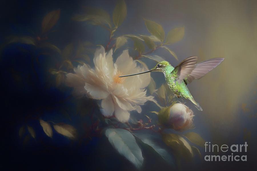 Hummingbird Photograph - Sward-Billed Hummingbird by Eva Lechner