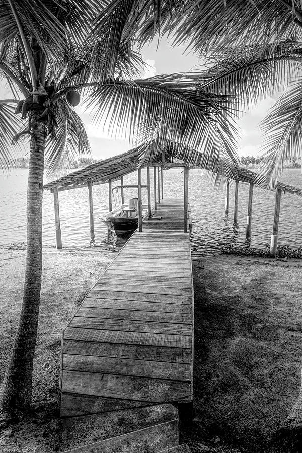 Swaying Palms Over the Dock in Black and White Photograph by Debra and Dave Vanderlaan