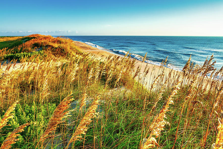 Swaying Sea Oats and Soft Surf Outer Banks Photograph by Dan Carmichael