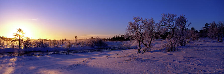 Sweden, Dalarna, winter Photograph by Panoramic Images