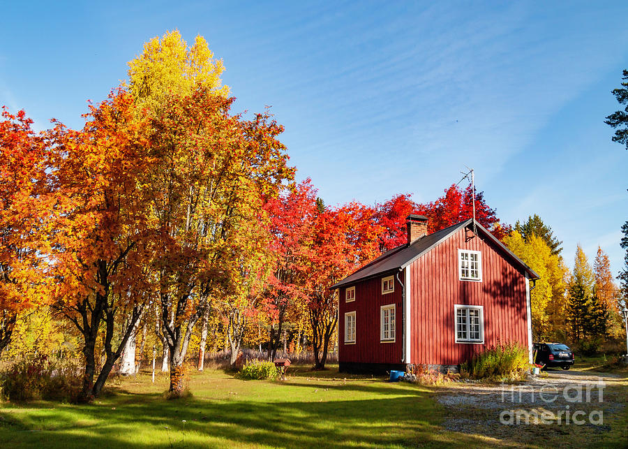 Swedish Autumn 1 Photograph by Torfinn Johannessen - Pixels