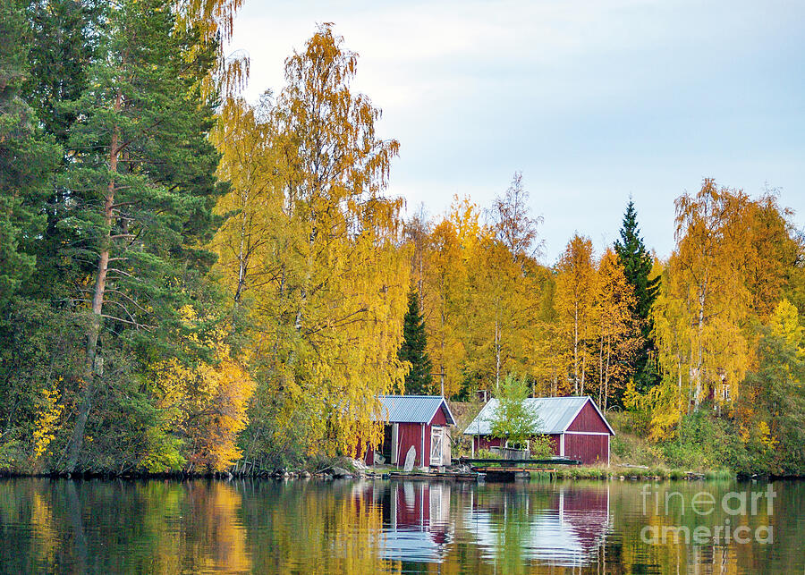 Swedish Autumn 5 Photograph by Torfinn Johannessen - Fine Art America