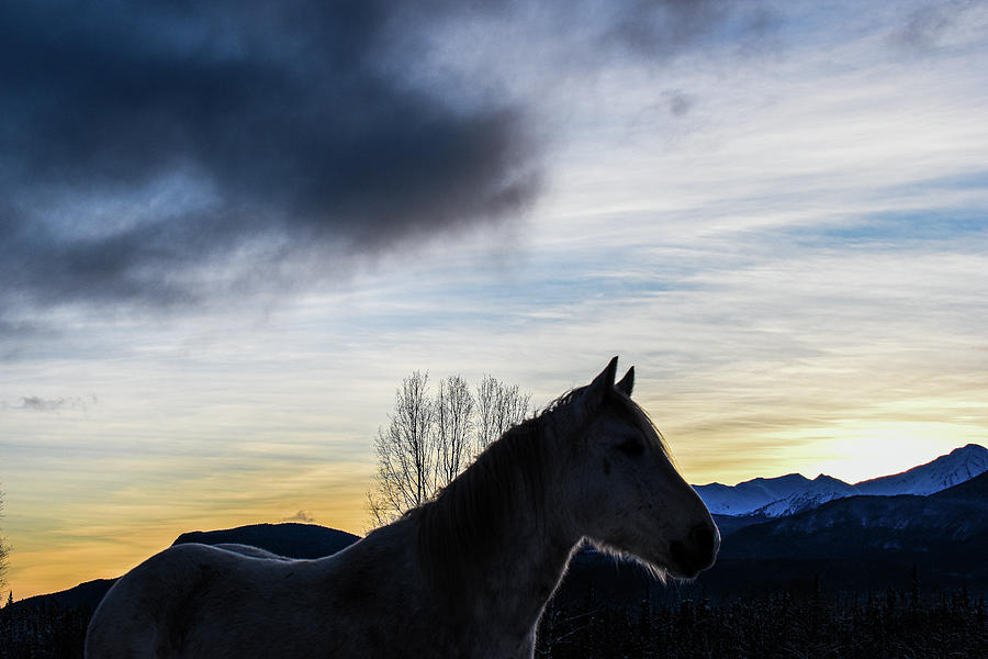 Sweeping Cloud Sunset Photograph by Listen To Your Horse