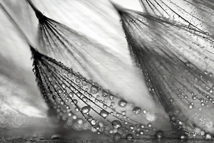 Sweeping In the Rain Photograph by Ursula Abresch