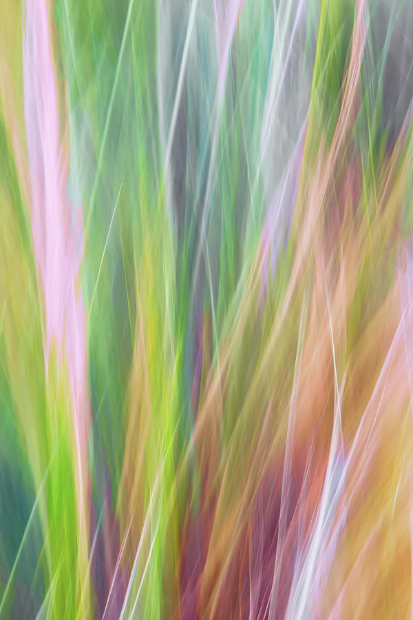 Sweeping Motion Digital Art by Terry Davis