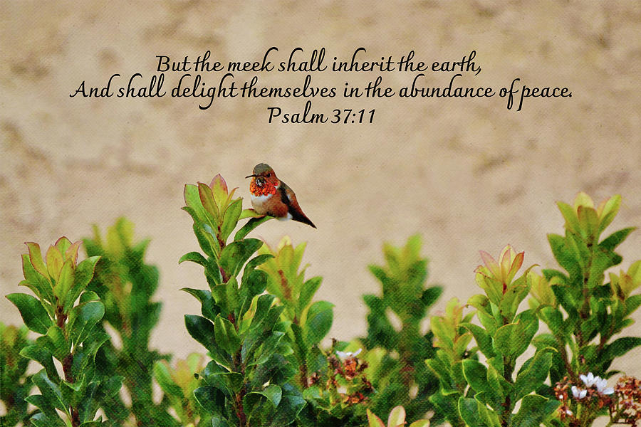 Sweet And Meek Hummingbird With Scripture Digital Art