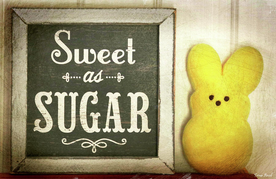 Sweet As Sugar Digital Art by Trina Ansel