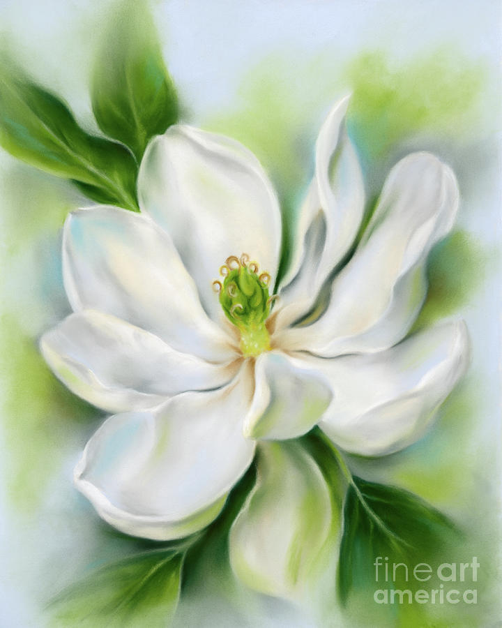 Sweet Bay Magnolia Painting by MM Anderson