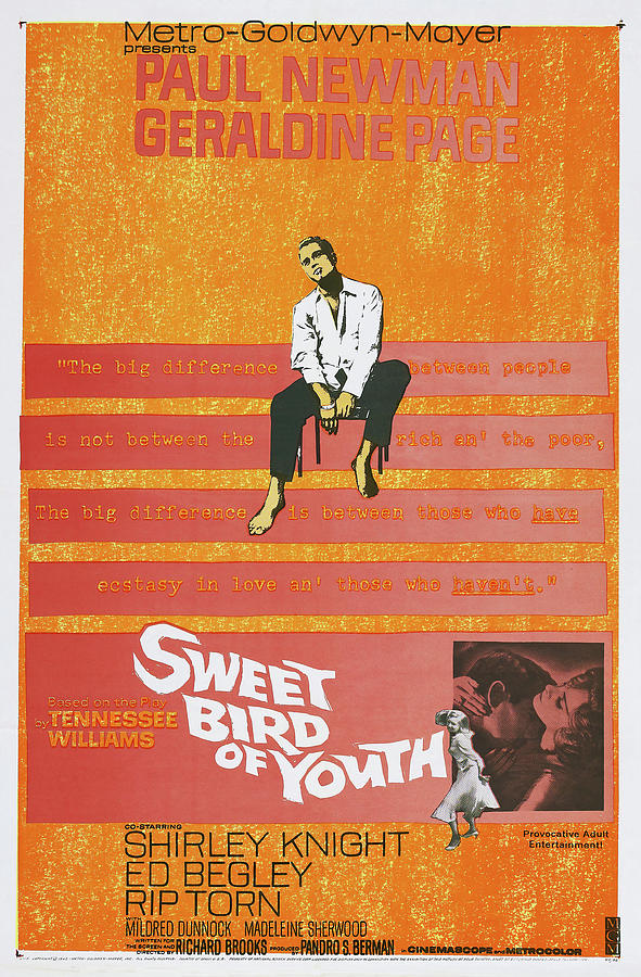 Paul Newman Mixed Media - Sweet Bird of Youth, 1962 by Movie World Posters