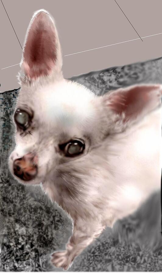 Sweet Chihuahua Mixed Media by Pamela Calhoun Sweet Chihuahua Mixed Media by Pamela Calhoun