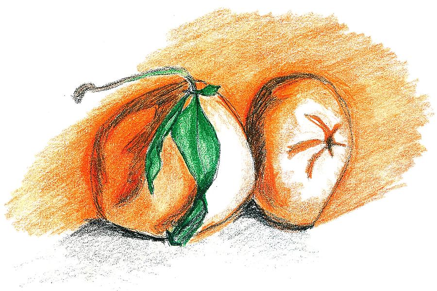 Sweet clementines Drawing by Francine Rondeau