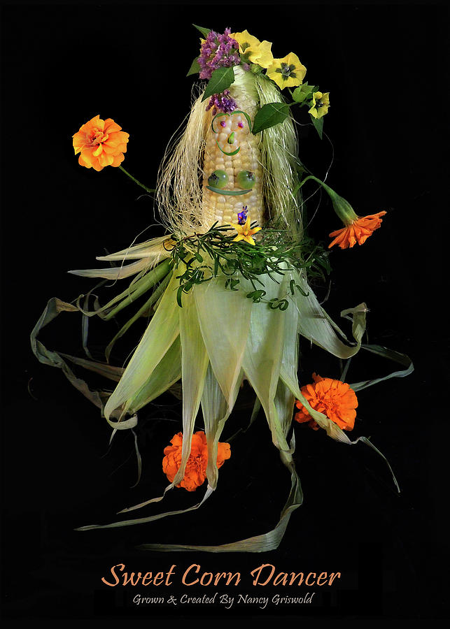 Vegetable Photograph - Sweet Corn Dancer by Nancy Griswold