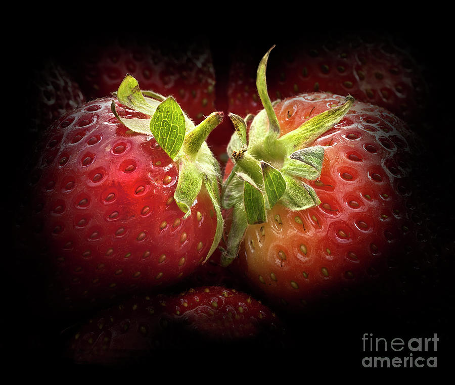 Sweet Couple, Strawberries Photograph by Tatiana Bogracheva