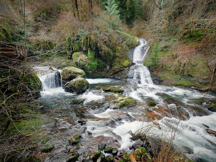 Sweet Creek Falls Photograph