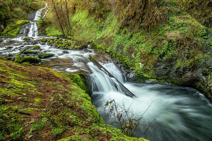 Sweet Creek Falls Photograph by Matthew Irvin