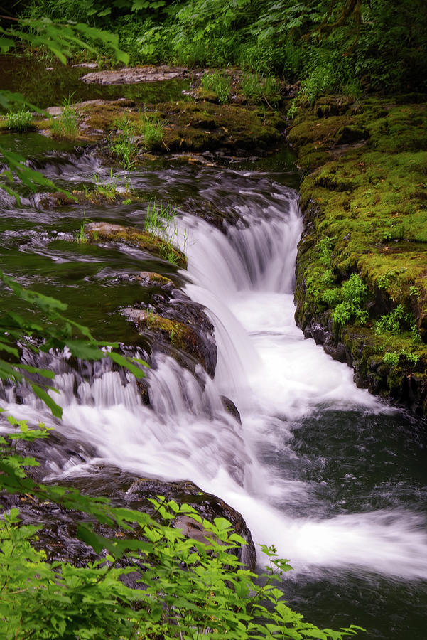 Silver Creek Flow Photograph by Stephen Sloan | Fine Art America