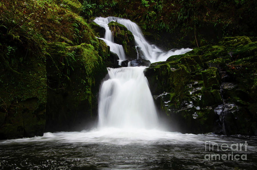 Sweet Creek Waterfall Photograph by Bob Christopher