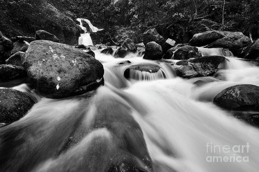 Sweet Creek Waterfall Oregon 2 Photograph by Bob Christopher