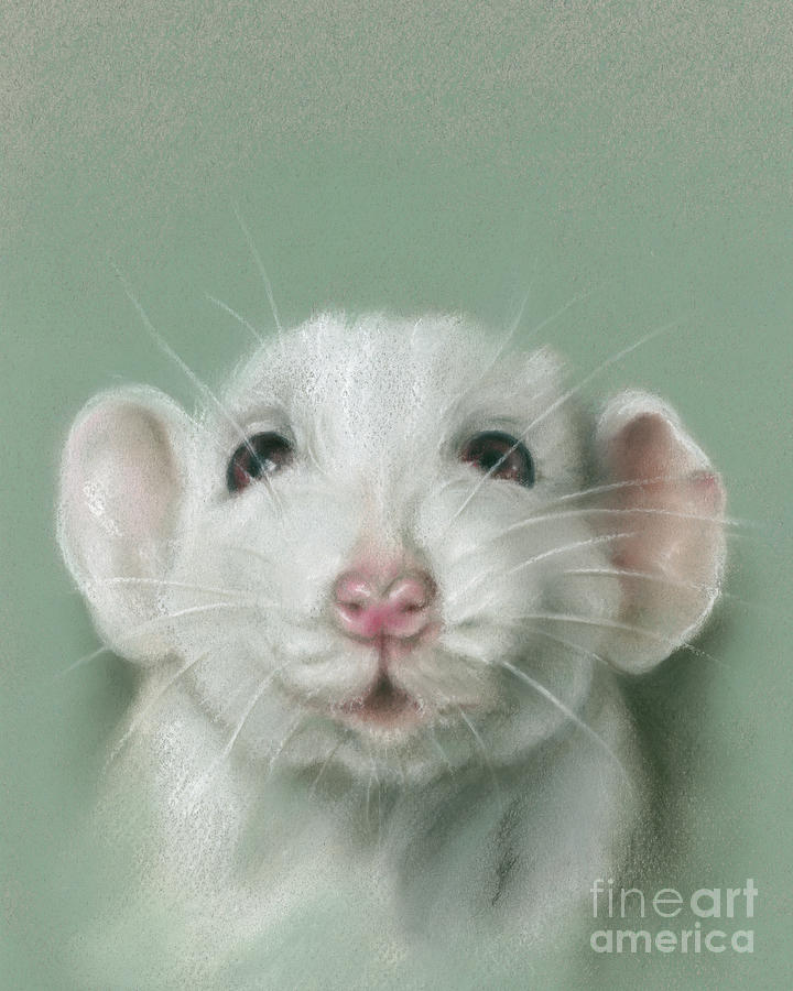 Sweet Faced White Rat Portrait Painting by MM Anderson