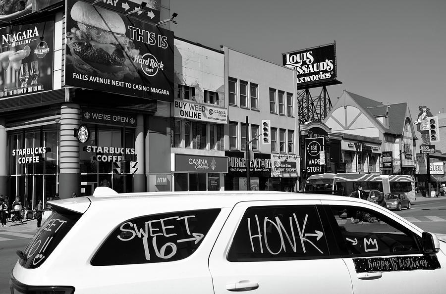 Sweet Honking Photograph