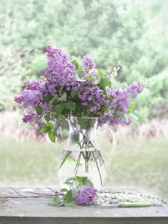 Flower Photograph - Sweet Lilacs by Lori Deiter