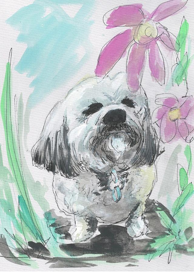Sweet Lilly Drawing by Eileen Backman