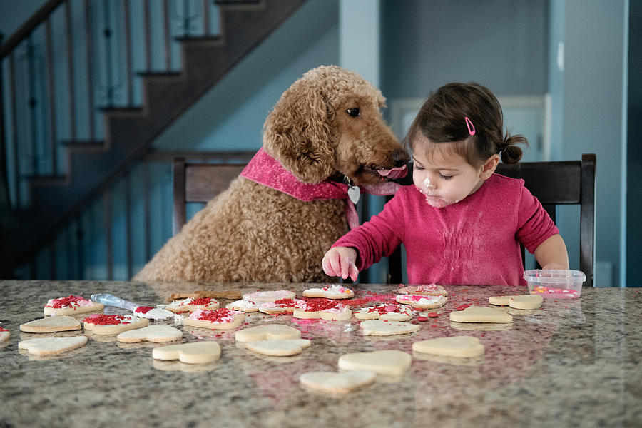 Sweet little girl with her dog in the kitchen Photograph by Manonallard