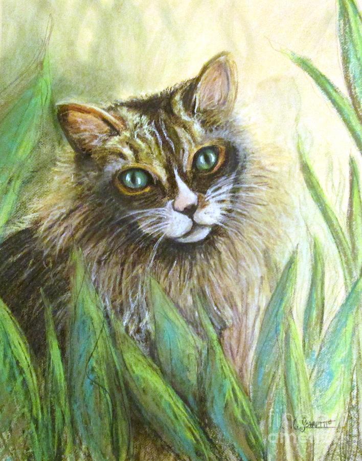 Sweet Maine Coon Pastel by Nikki Scarpitto