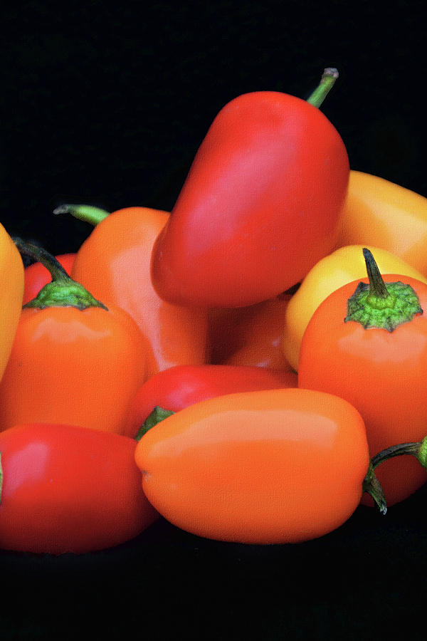 Sweet Mini Peppers - Triptych - No 2 Photograph by Nikolyn McDonald