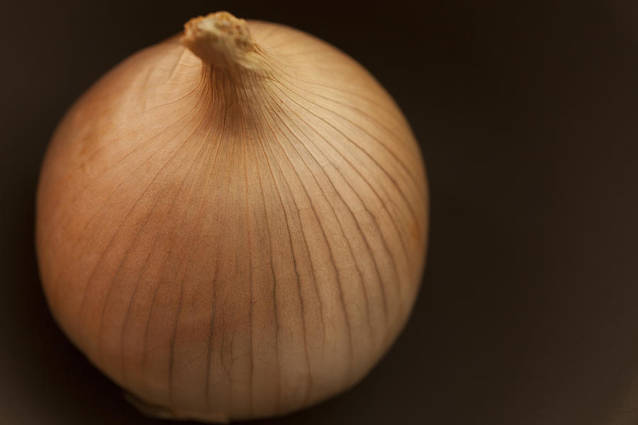 Sweet Onion Photograph by Caroyl La Barge