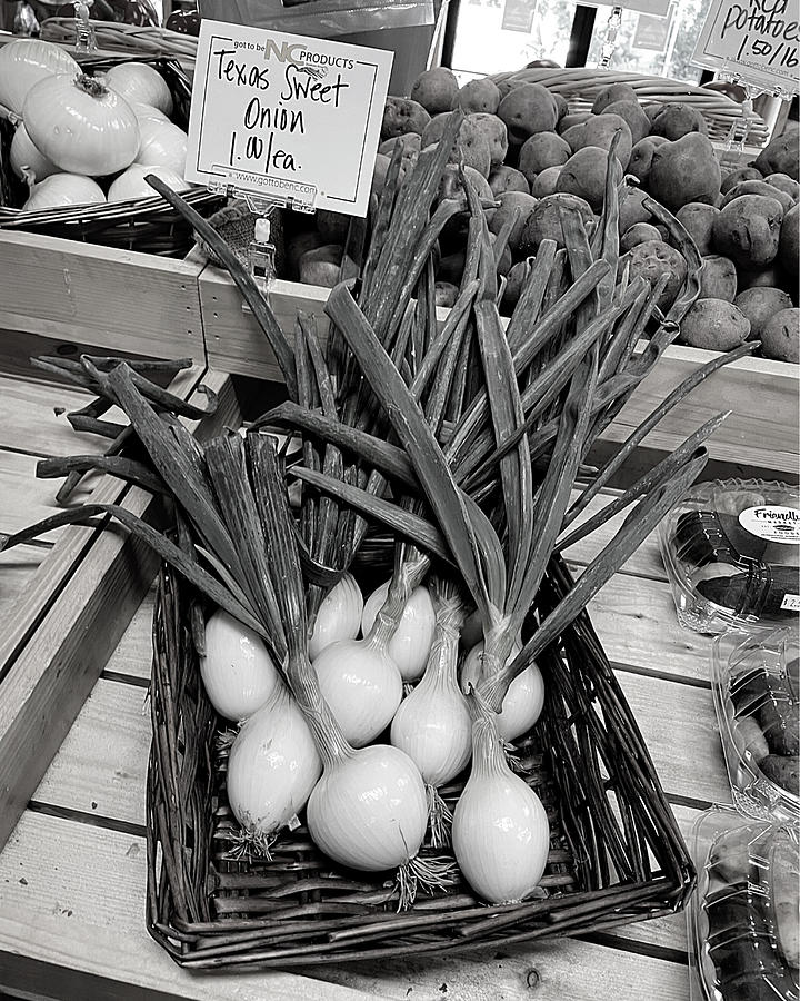 Sweet Onion Sale BW Photograph by Lee Darnell