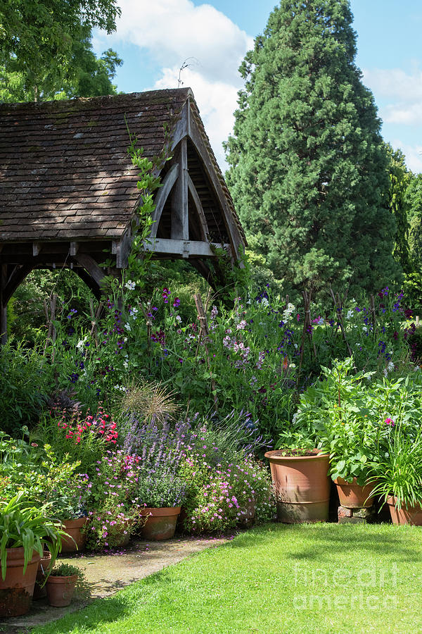  Sweet Peas and Pot Plants at RHS Wisley Photograph by Tim Gainey