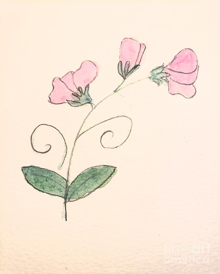 Sweet Pea #1 Painting by Margaret Welsh Willowsilk