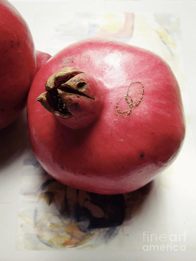 Sweet Pink Pomegranate  Photograph by Rebecca Harman